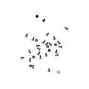 Samsung Galaxy Z Fold4 5G Replacement Screw Set