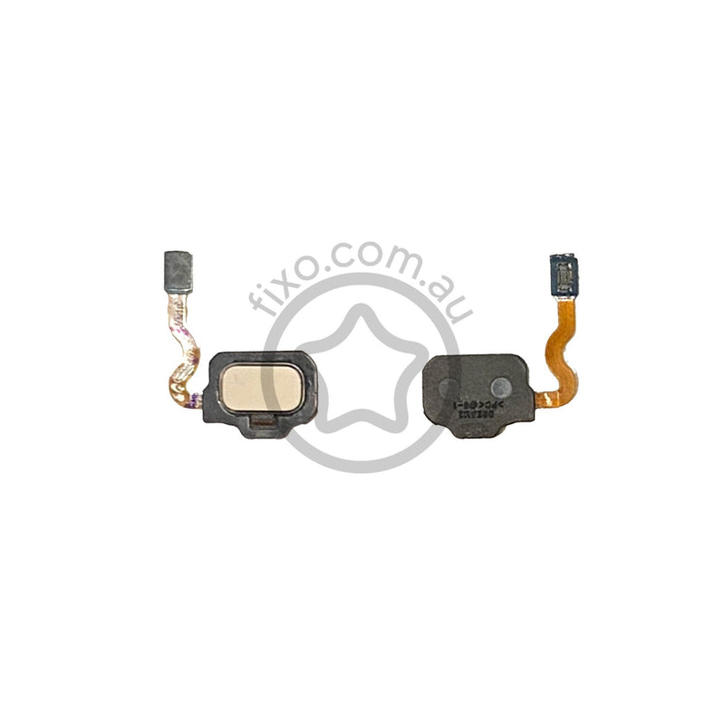 Replacement Samsung Galaxy S8 Home Button Flex Cable in Gold